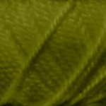 Пряжа для вязания ПЕХ Акрил (100%акрил) 10х100гр300м цв.252 зеленый горошек