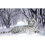 Набор с нанесенным рисунком для вышивания бисером Империя бисера арт.ИБ-07 Белый тигр