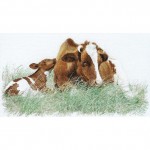 Набор для вышивания арт.Gouverneur-449 Корова и теленок 45х70 см