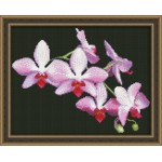 Набор для вышивания Юнона арт.0116 Ветка орхидеи 22,5х17,5см